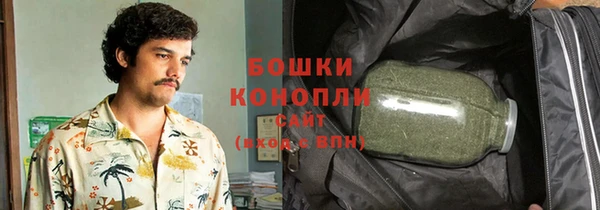 гидра Вязники