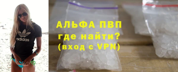 индика Козельск