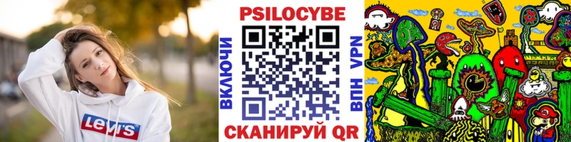 Псилоцибиновые грибы Cubensis  Закаменск 