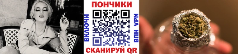купить наркоту  Закаменск  Бошки марихуана планчик 